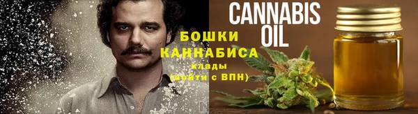 дживик Горнозаводск