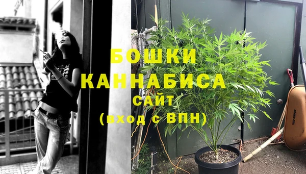 дживик Горнозаводск