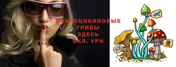 тгк Горняк