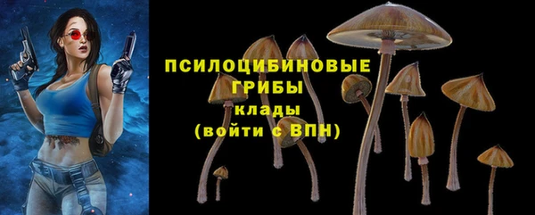 СК Горно-Алтайск