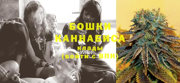 тгк Горняк