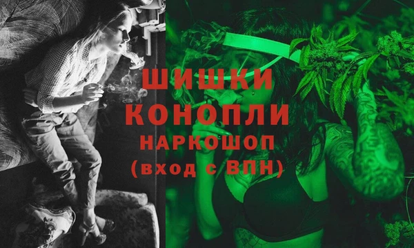 дживик Горнозаводск