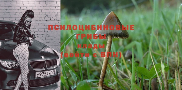 дживик Горнозаводск