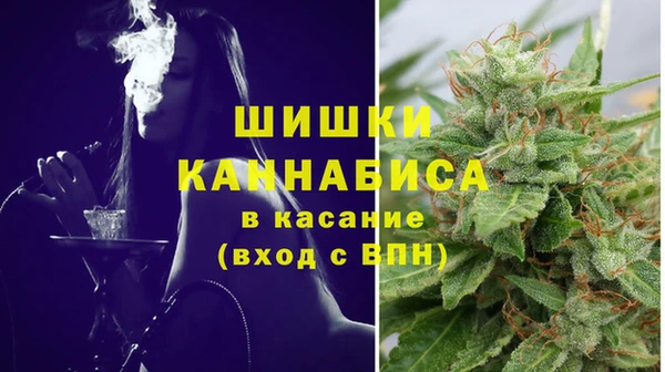 дживик Горнозаводск