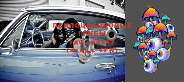 тгк Горняк