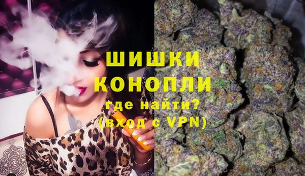 дживик Горнозаводск